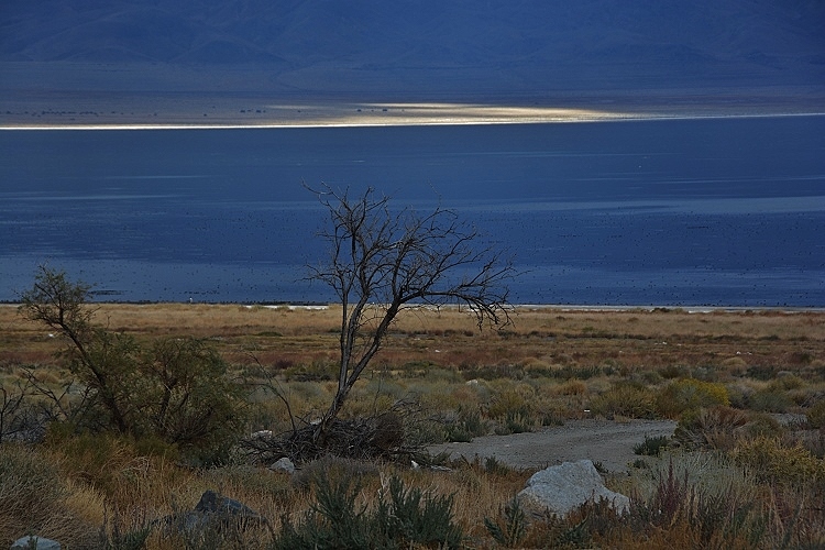 lake scene